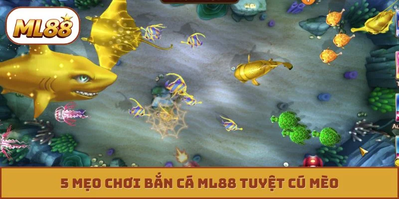 5 mẹo chơi bắn cá ML88 tuyệt cú mèo