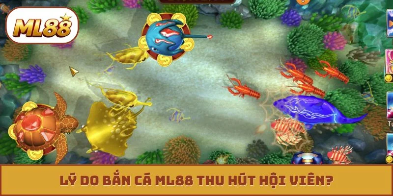 Lý do bắn cá ML88 thu hút hội viên?
