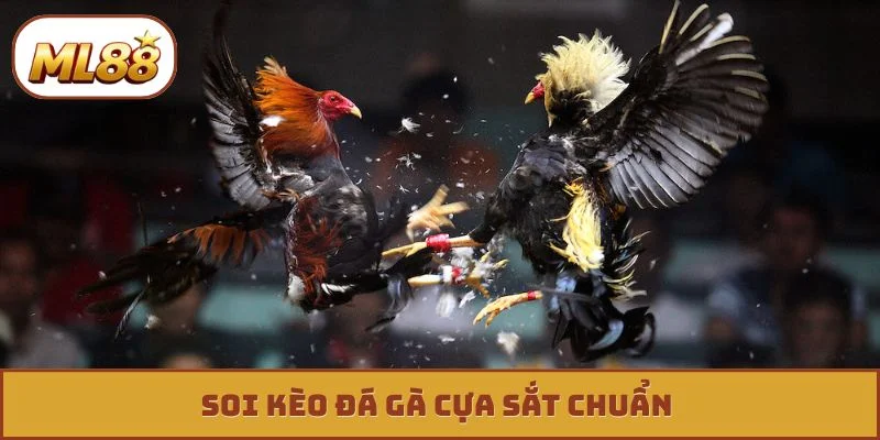 Soi kèo đá gà cựa sắt chuẩn